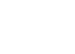 PartyPlatform Logo