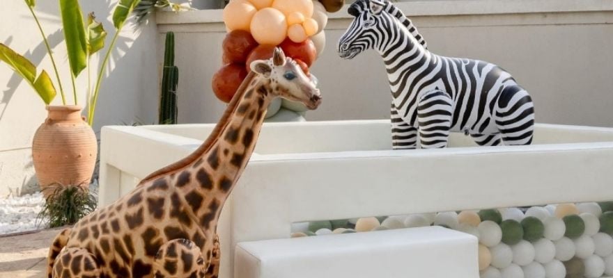 Party Rentals for Fun! by Groovy Party Rentals